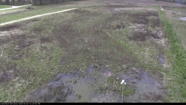 Cell 1_24-04-20_12-29-44-34