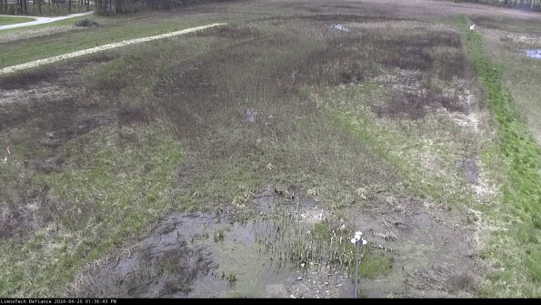 Cell 1_24-04-20_13-36-44-31