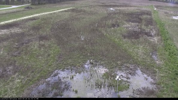 Cell 1_24-04-20_14-10-13-33