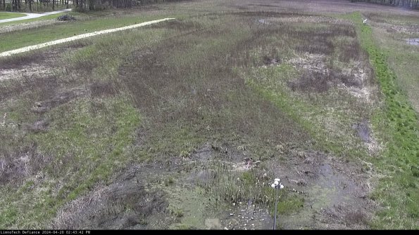 Cell 1_24-04-20_14-43-43-31