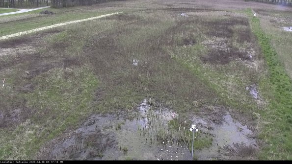 Cell 1_24-04-20_15-17-11-33