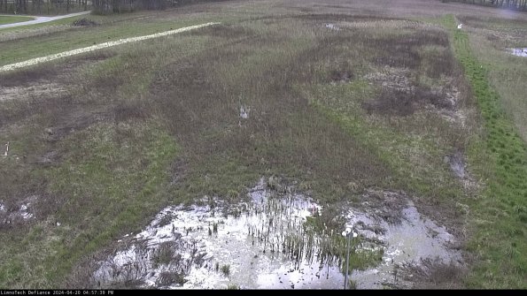 Cell 1_24-04-20_16-57-40-32