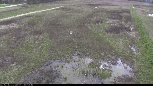 Cell 1_24-04-20_17-31-10-34