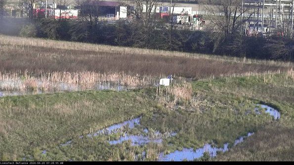 Cell 2 to 3_24-04-20_07-28-55-43