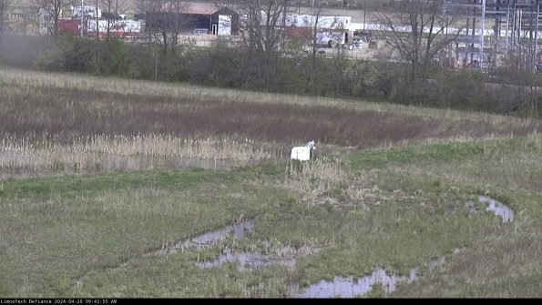 Cell 2 to 3_24-04-20_09-42-55-43