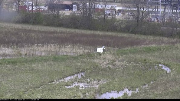 Cell 2 to 3_24-04-20_11-23-25-52