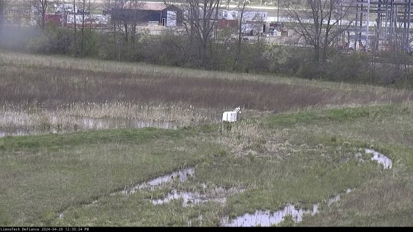 Cell 2 to 3_24-04-20_12-30-24-58