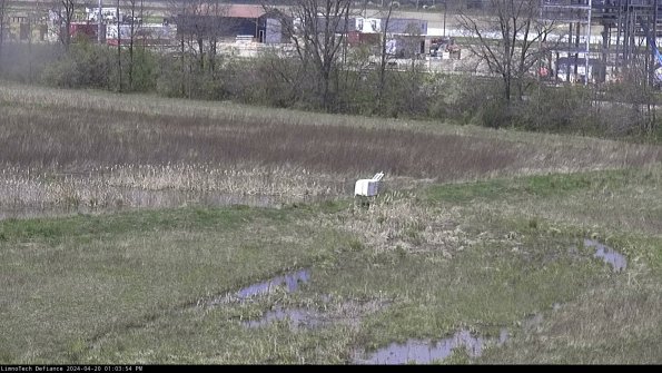 Cell 2 to 3_24-04-20_13-03-54-47