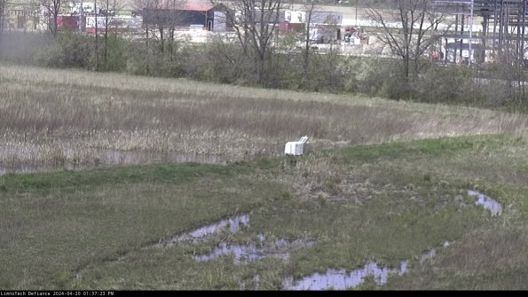 Cell 2 to 3_24-04-20_13-37-24-42