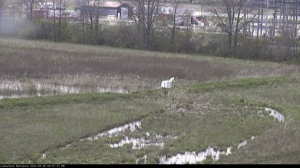 Cell 2 to 3_24-04-20_15-51-21-46