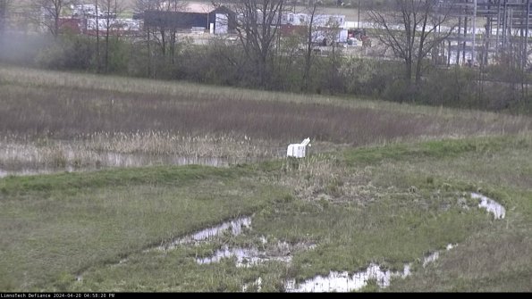 Cell 2 to 3_24-04-20_16-58-20-49