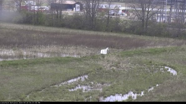 Cell 2 to 3_24-04-20_17-31-50-45