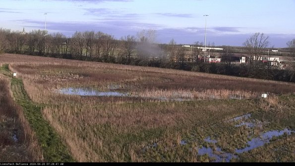 Cell 2_24-04-20_07-28-42-35