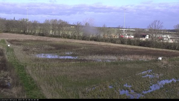 Cell 2_24-04-20_08-35-41-35