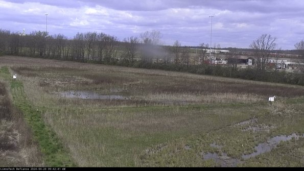 Cell 2_24-04-20_09-42-42-35