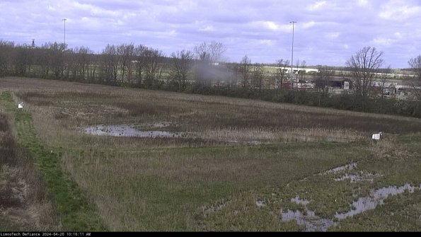 Cell 2_24-04-20_10-16-12-33