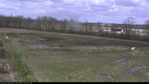 Cell 2_24-04-20_10-49-42-38