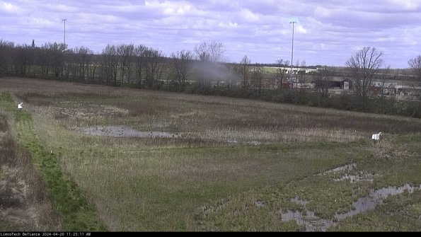 Cell 2_24-04-20_11-23-12-37