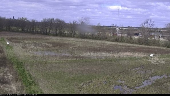 Cell 2_24-04-20_11-56-41-35