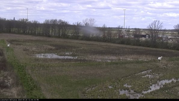 Cell 2_24-04-20_12-30-11-37