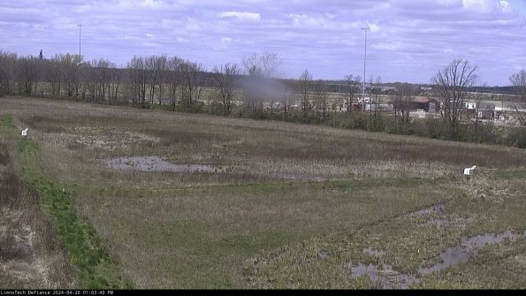 Cell 2_24-04-20_13-03-41-35