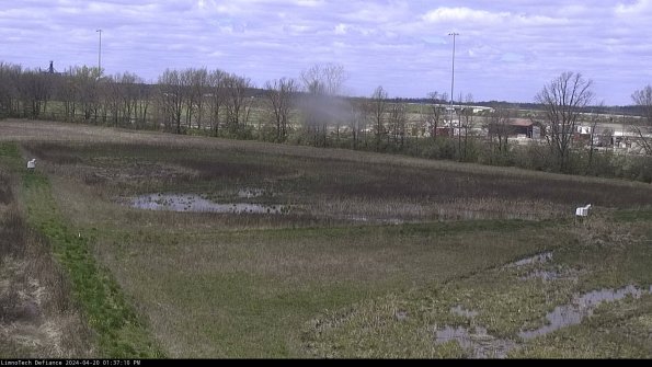 Cell 2_24-04-20_13-37-11-34