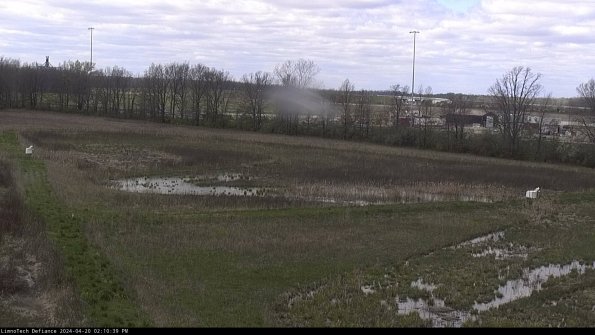 Cell 2_24-04-20_14-10-40-36