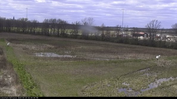 Cell 2_24-04-20_14-44-10-37