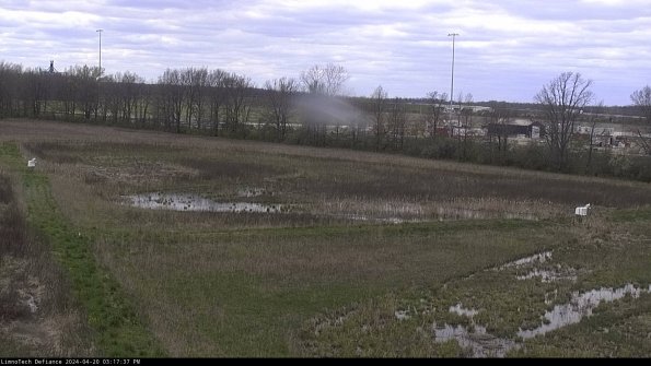 Cell 2_24-04-20_15-17-38-36