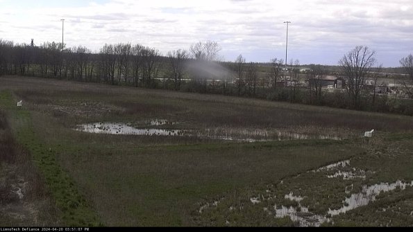 Cell 2_24-04-20_15-51-08-34