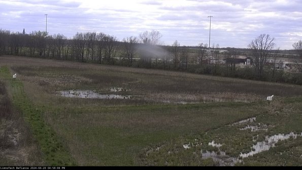 Cell 2_24-04-20_16-58-07-35