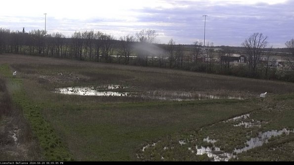 Cell 2_24-04-20_18-05-06-35