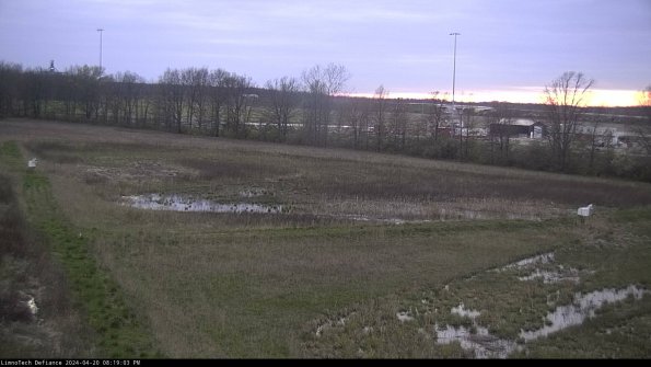 Cell 2_24-04-20_20-19-04-35