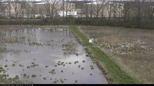 Cell 3 to 4_24-04-20_10-16-53-31