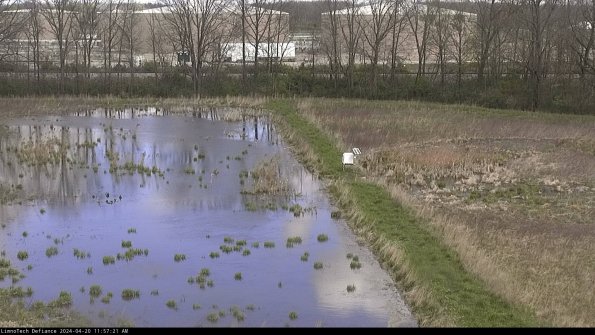 Cell 3 to 4_24-04-20_11-57-22-33