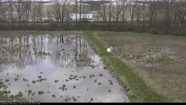 Cell 3 to 4_24-04-20_15-18-20-34