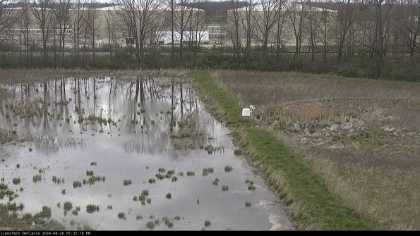 Cell 3 to 4_24-04-20_17-32-19-34