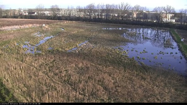 Cell 3_24-04-20_07-29-10-34