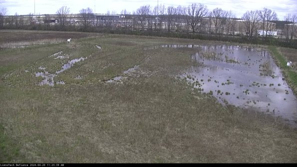 Cell 3_24-04-20_11-23-40-33