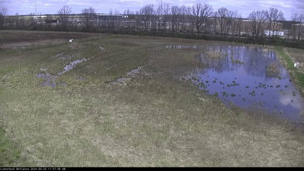 Cell 3_24-04-20_11-57-08-51