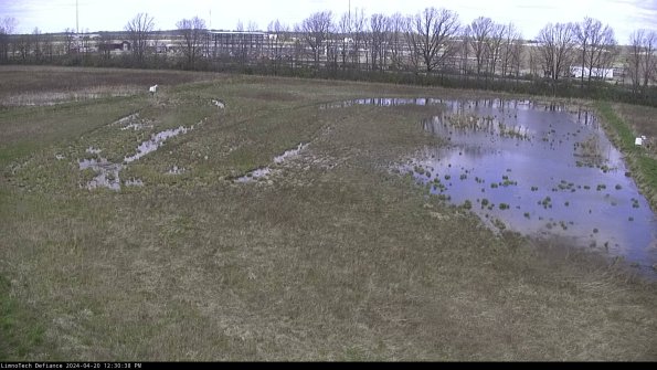 Cell 3_24-04-20_12-30-39-33