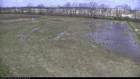 Cell 3_24-04-20_13-04-09-32