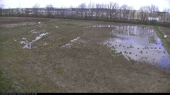 Cell 3_24-04-20_14-11-08-32