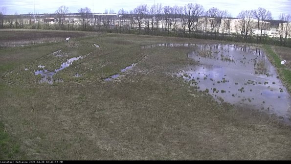 Cell 3_24-04-20_14-44-37-57