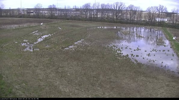 Cell 3_24-04-20_15-18-06-32