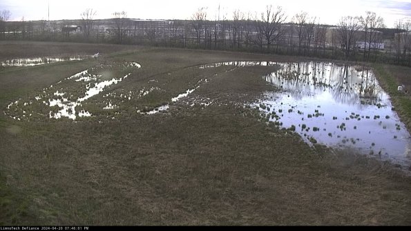 Cell 3_24-04-20_19-46-02-32