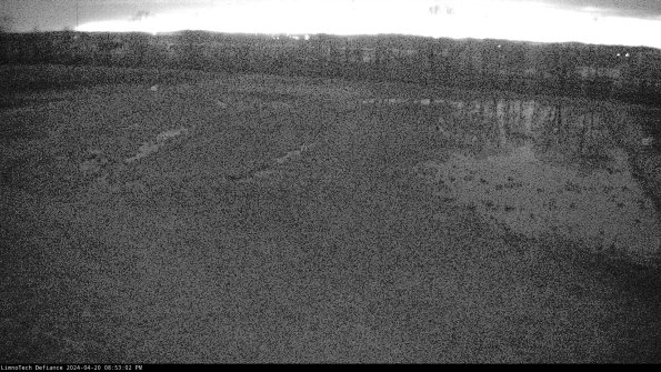 Cell 3_24-04-20_20-53-03-36