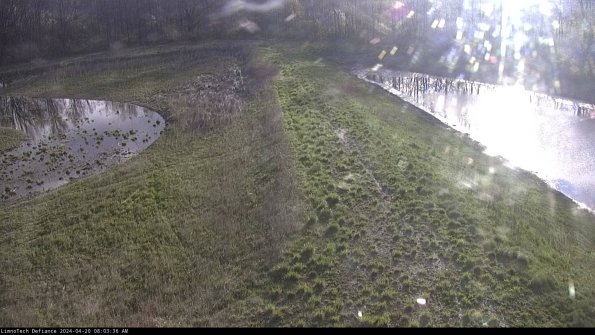 Cell 4 to Basin_24-04-20_08-03-37-35