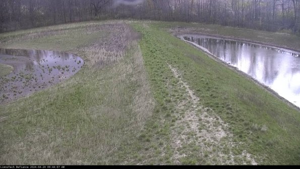 Cell 4 to Basin_24-04-20_09-44-08-34