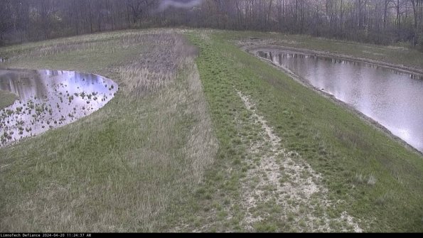 Cell 4 to Basin_24-04-20_11-24-38-32